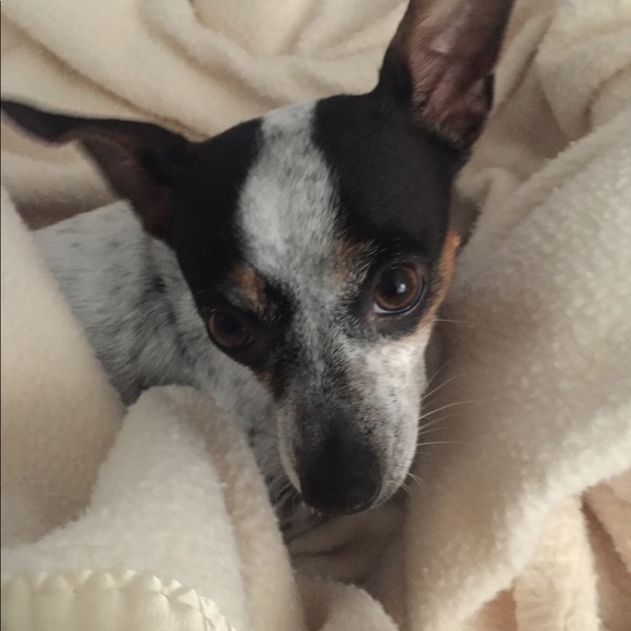 Meet your Posher, Jody - Picture 1 of 1